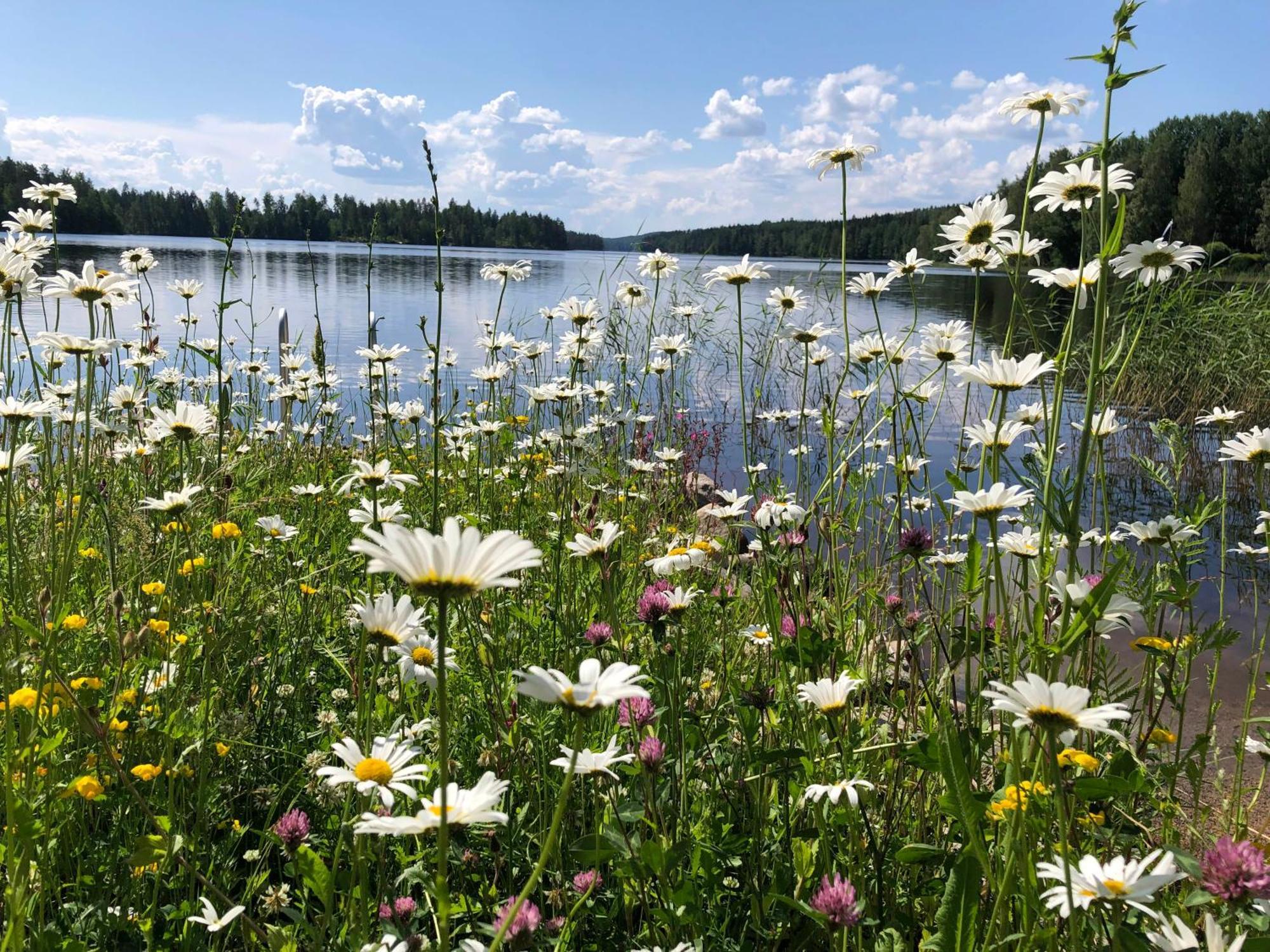 Vehkaniemen Lomatila Pohjaslahti Exterior foto